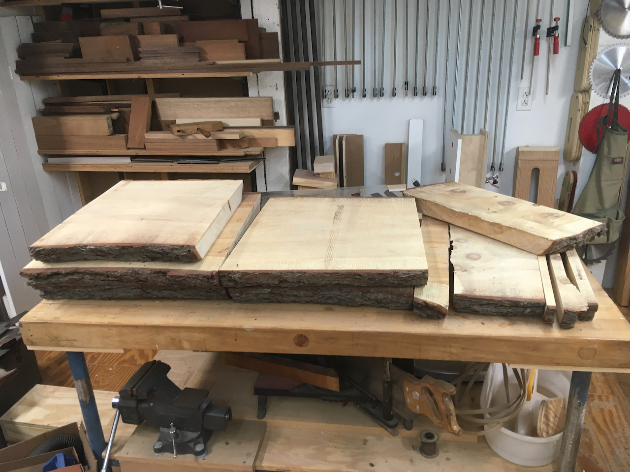 Five sections for possible chair seat blanks, with offcuts
